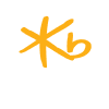 KB손해보험